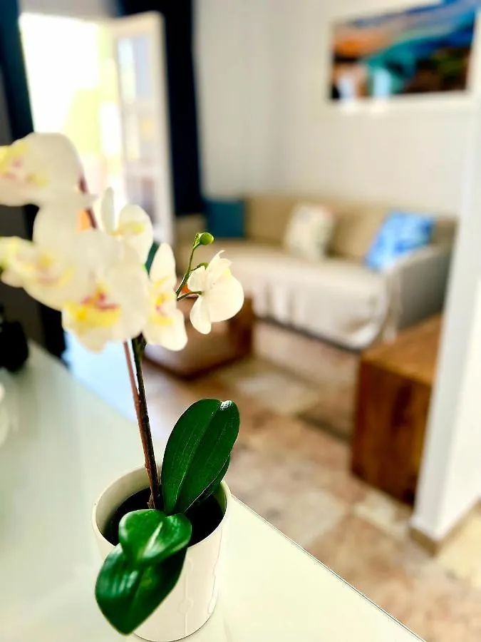 Cosy, New Studio In Costa Adeje Costa Adeje (Tenerife)